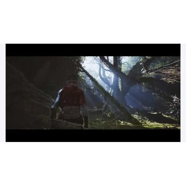 Ex Voto scene from Gameware, featuring a character in a forest setting with sunlight filtering throu.