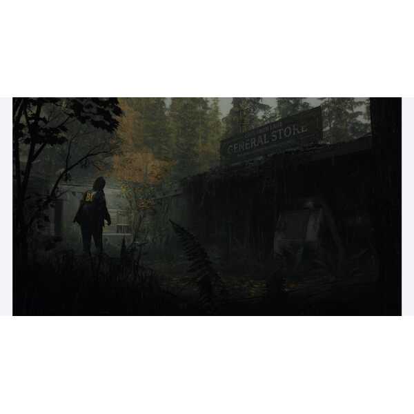 Abandoned general store in a dense, foggy forest setting, evoking a mysterious and atmospheric gamin.