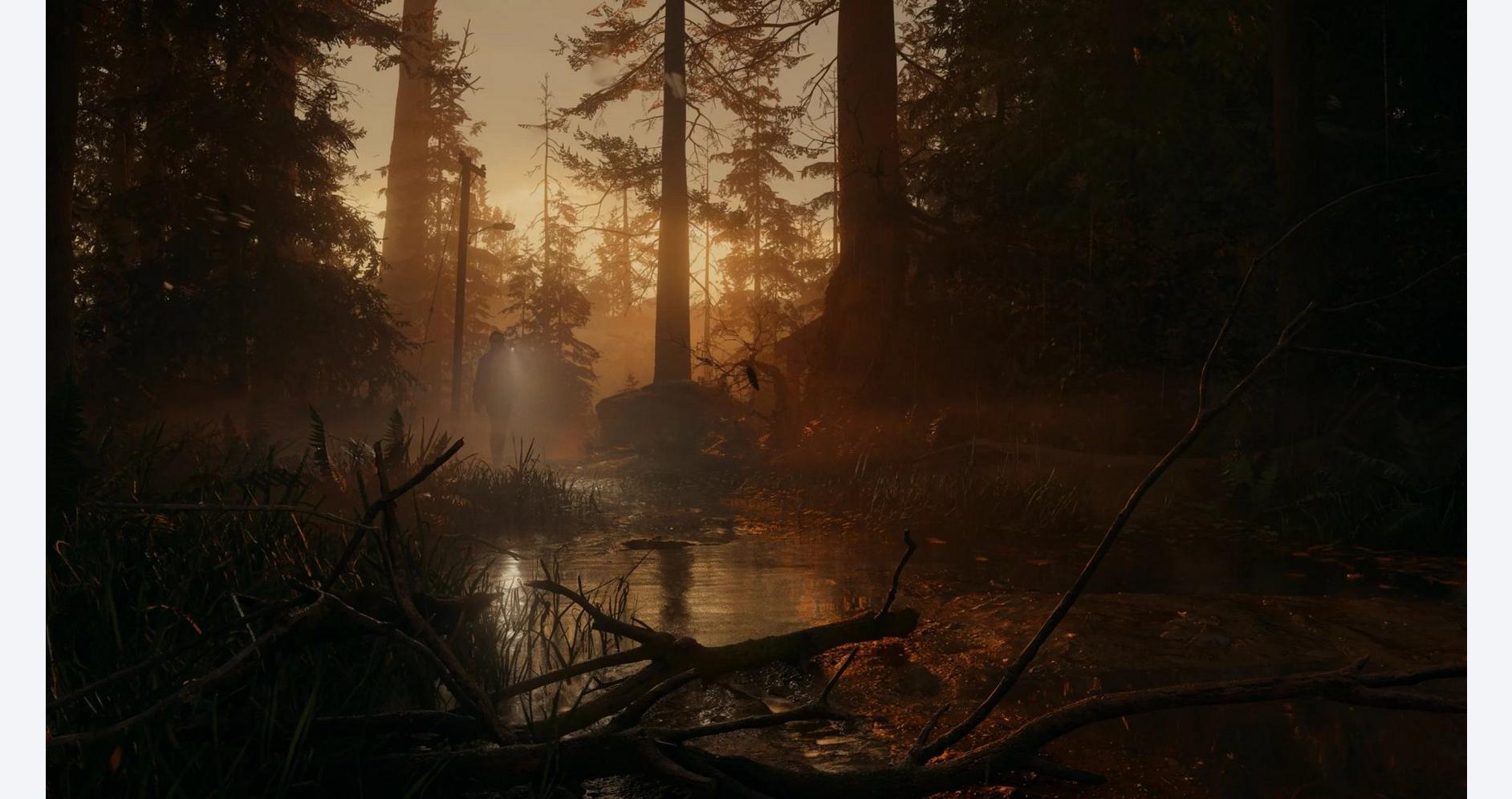 Serene forest stream at sunset with tall trees and misty atmosphere.