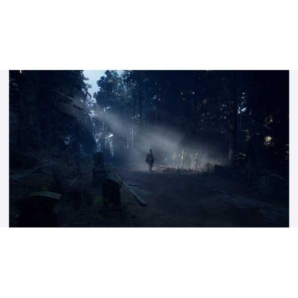 Mysterious forest scene with a lone figure walking through foggy woods at dawn.