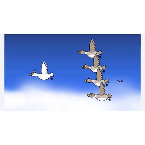 Doves flying in a V formation against a blue sky, symbolizing peace and harmony.
