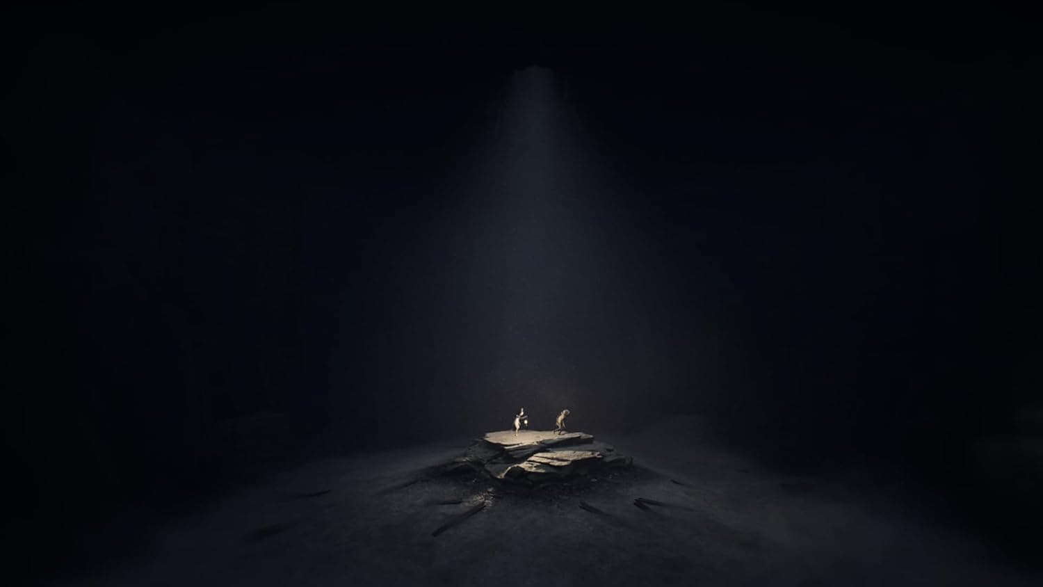 Artistic depiction of REANIMAL character on a dark background.