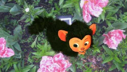 Cute plush toy of a monkey with black fur and orange face among pink flowers.