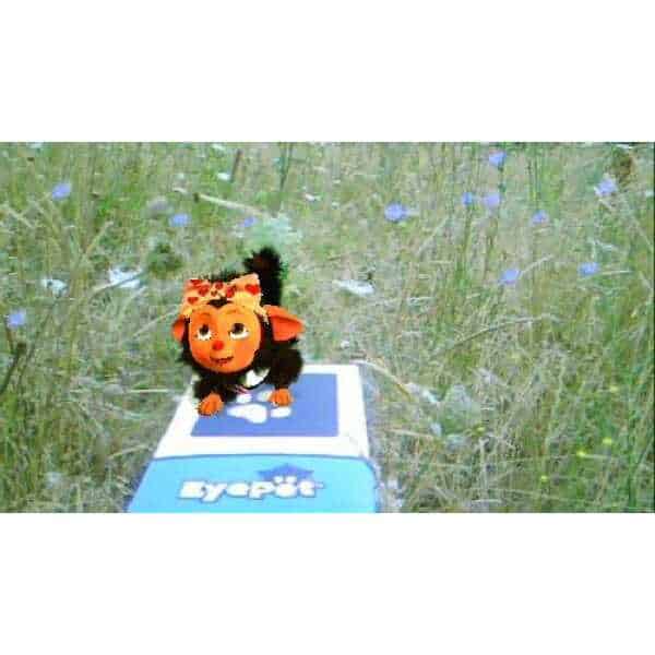 EyePet toy in a grassy field with small blue flowers, outdoor setting.