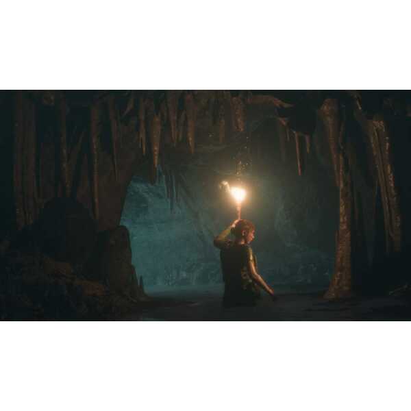 Adventurer exploring a dark cave with torchlight in a game environment.