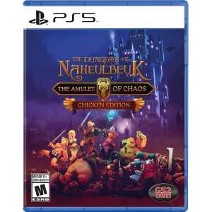 Dungeon of Naheulbeuk PS5 game cover with characters and castle background.