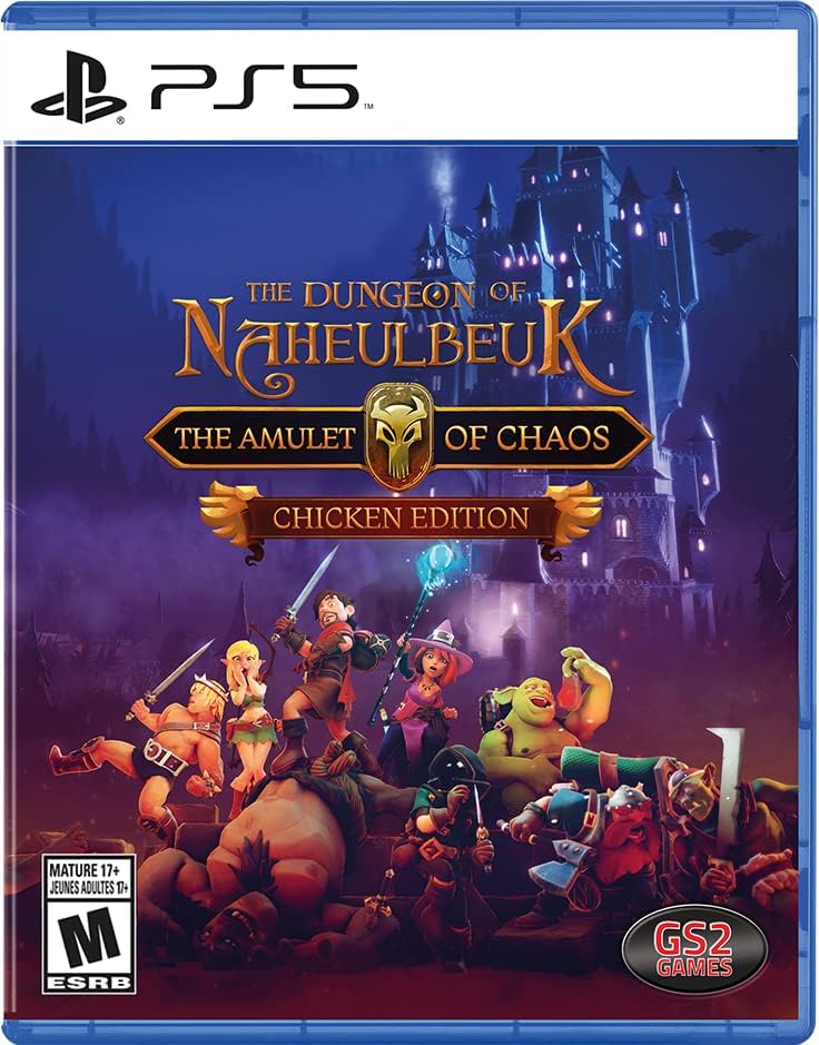 Dungeon of Naheulbeuk PS5 game cover with characters and castle background.