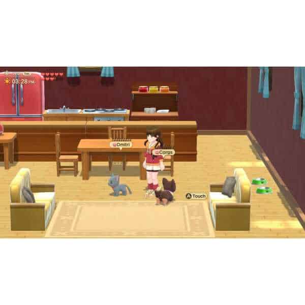 In-game scene from Harvest Moon: Home Sweet Home Special Edition showing a character with pets in a.