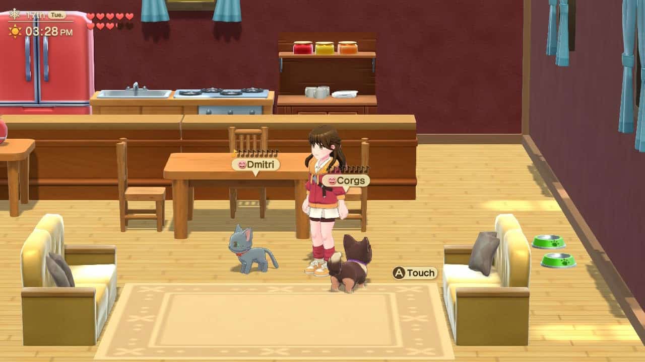 In-game scene from Harvest Moon: Home Sweet Home Special Edition showing a character with pets in a.