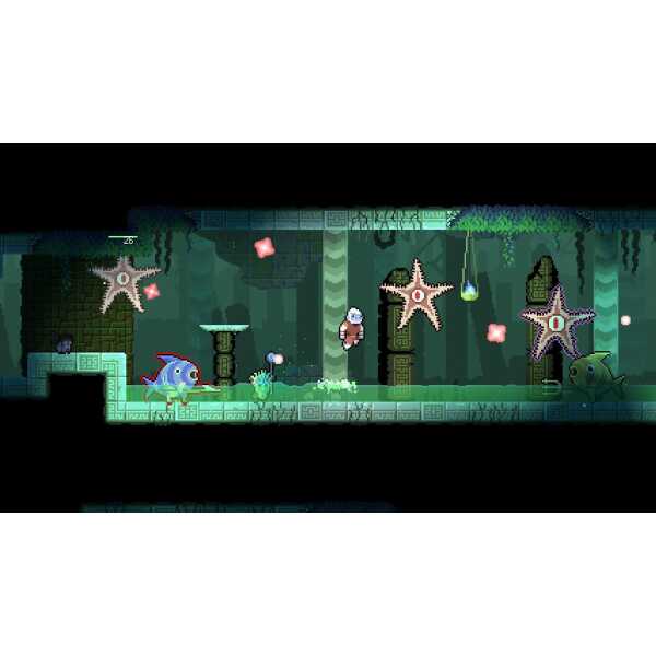 Underwater scene from Dunjungle game featuring fish, starfish, and aquatic plants.