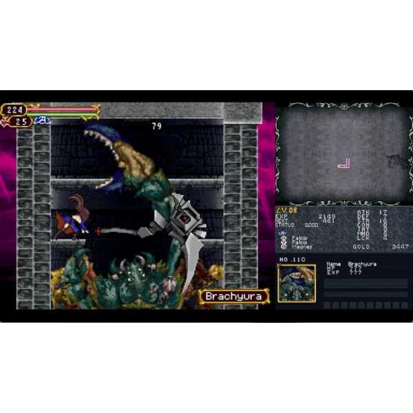 A dragon-like creature battling a hero in a pixel art fantasy game scene.
