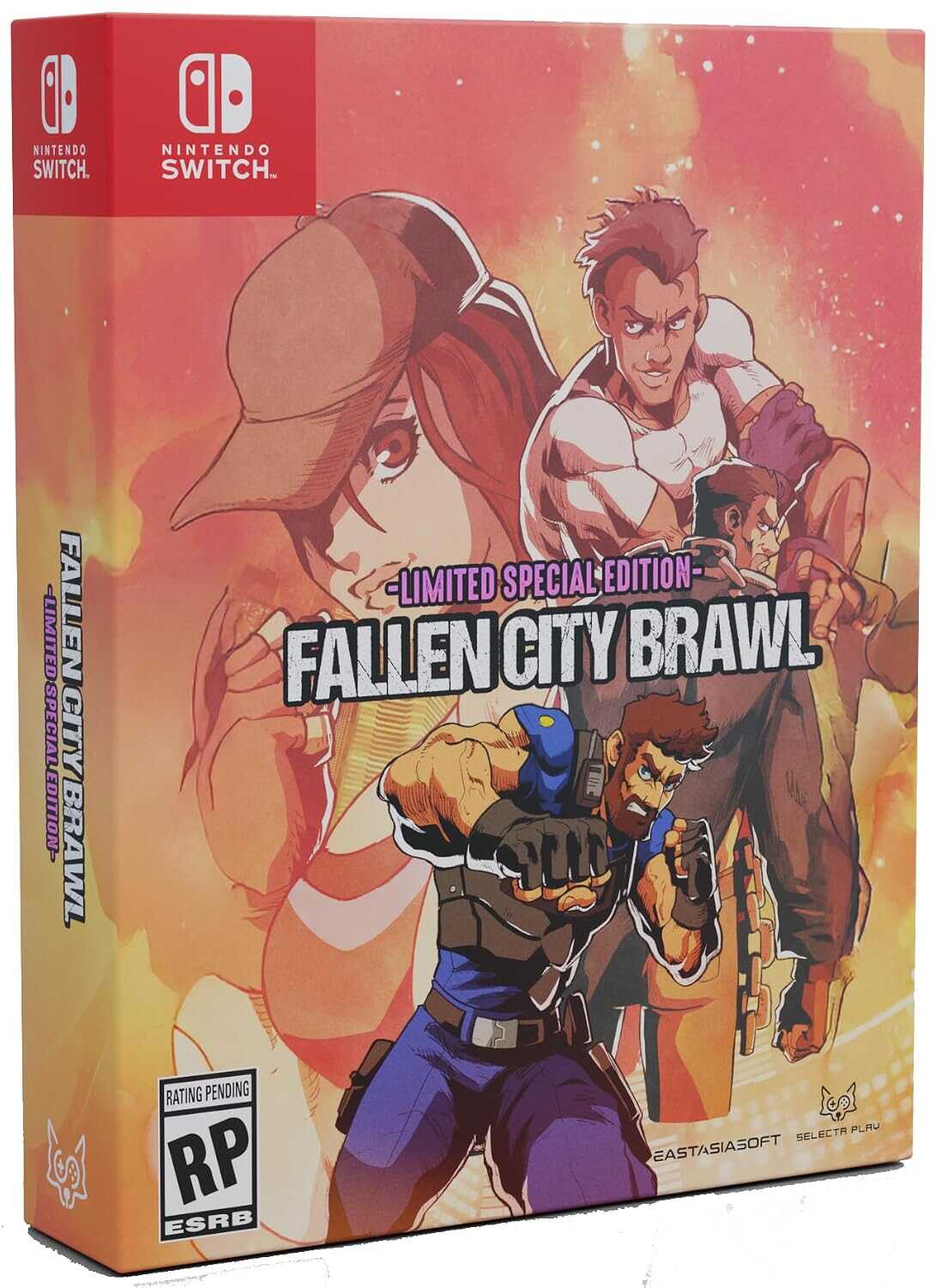 Fallen City Brawl limited edition game cover with characters in action scene.