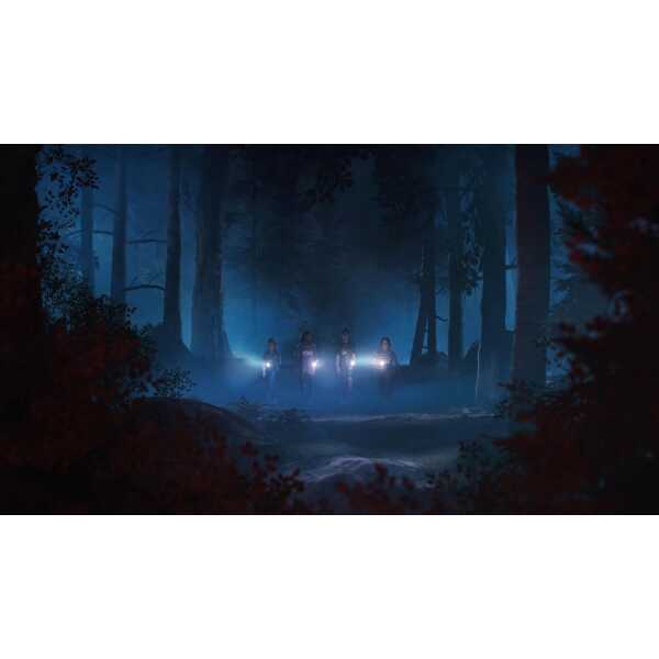 Group of explorers with flashlights in a dark, foggy forest at night.