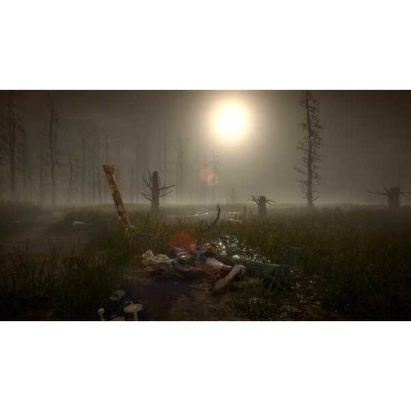 An eerie, foggy forest landscape with dead trees and a mysterious glow, perfect for horror game atmo.