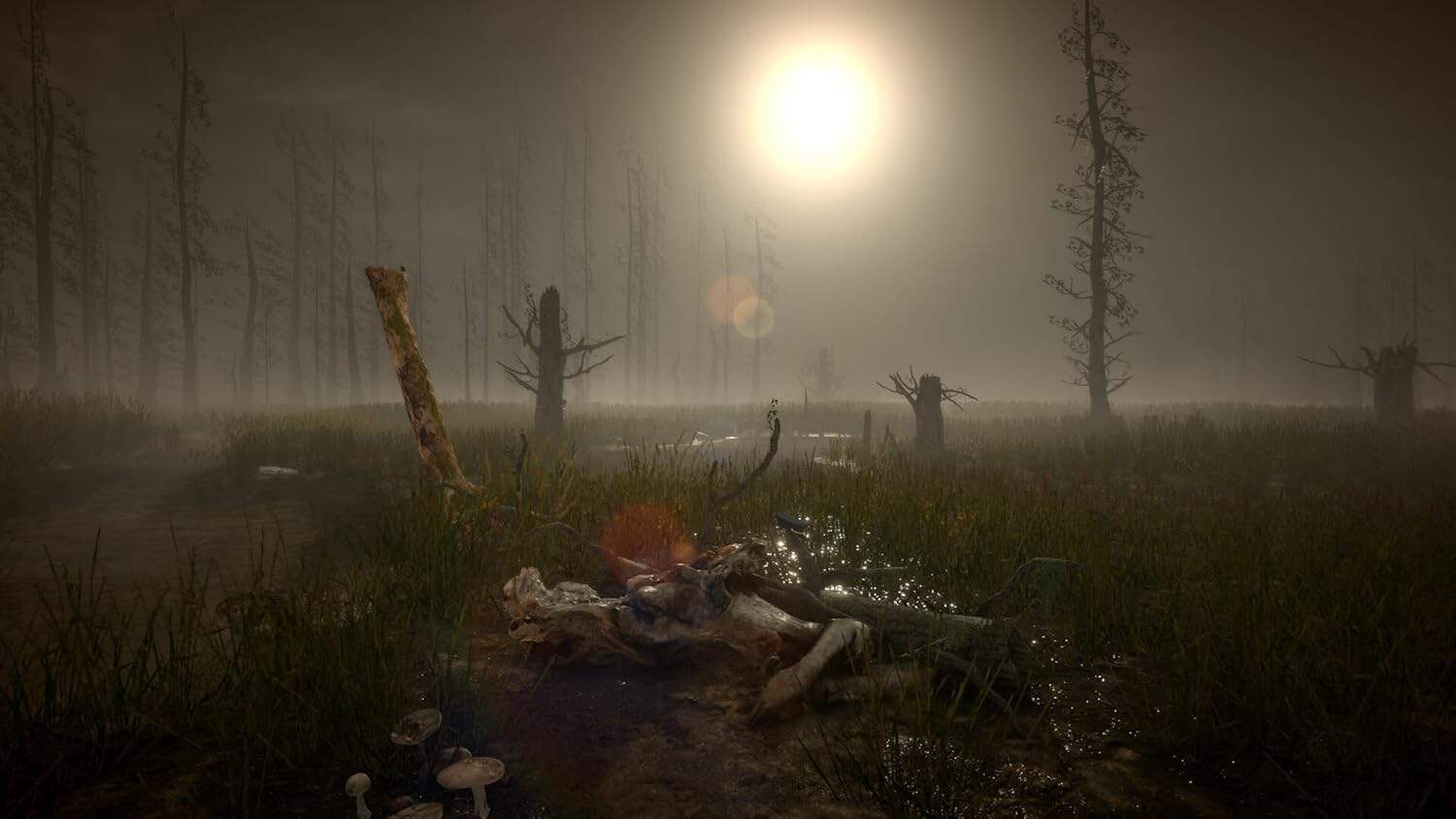 An eerie, foggy forest landscape with dead trees and a mysterious glow, perfect for horror game atmo.
