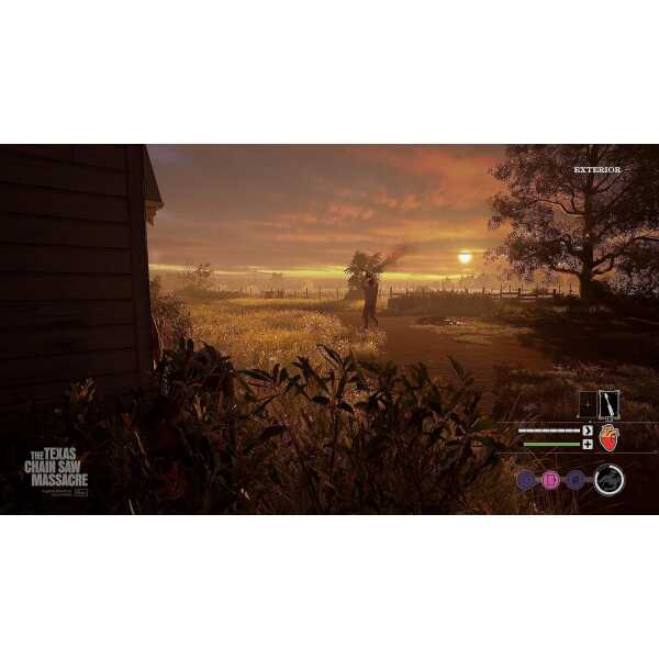 Sunset over rural landscape with trees and open field, capturing a peaceful outdoor environment.