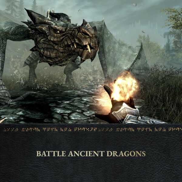 Epic dragon fight scene from Skyrim Anniversary Edition gameplay.