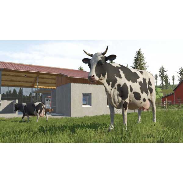Cow and calf on a farm in Farming Simulator 26 game environment.
