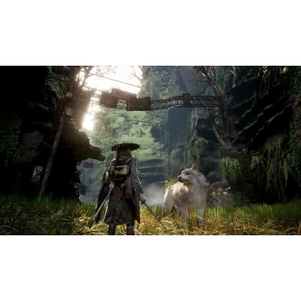 Fantasy forest with a warrior and a mystical white wolf in lush greenery.