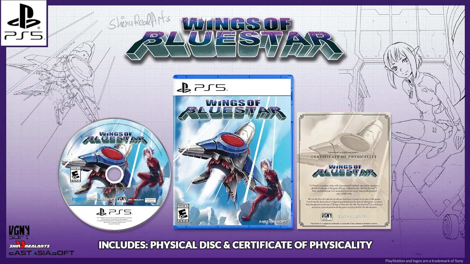 Cover art for Wings of Bluestar PS5 game featuring a futuristic aircraft and a female pilot.