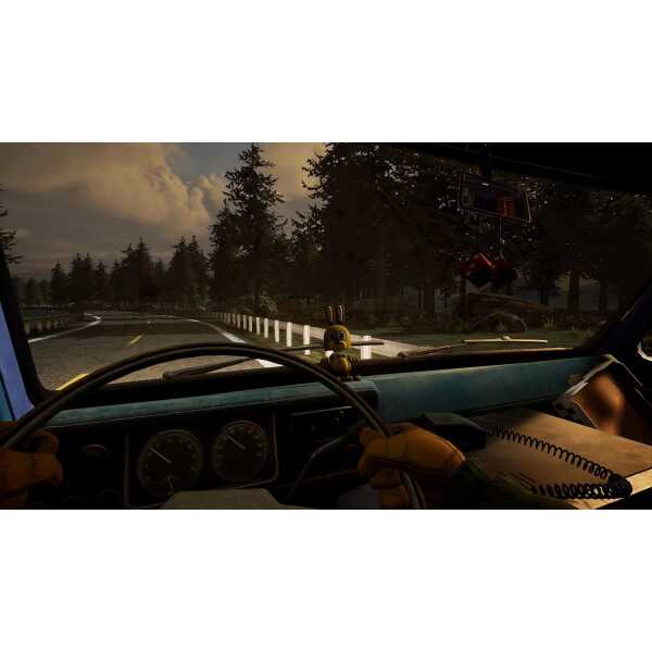 View from inside a car driving through a forested mountain road at sunset.