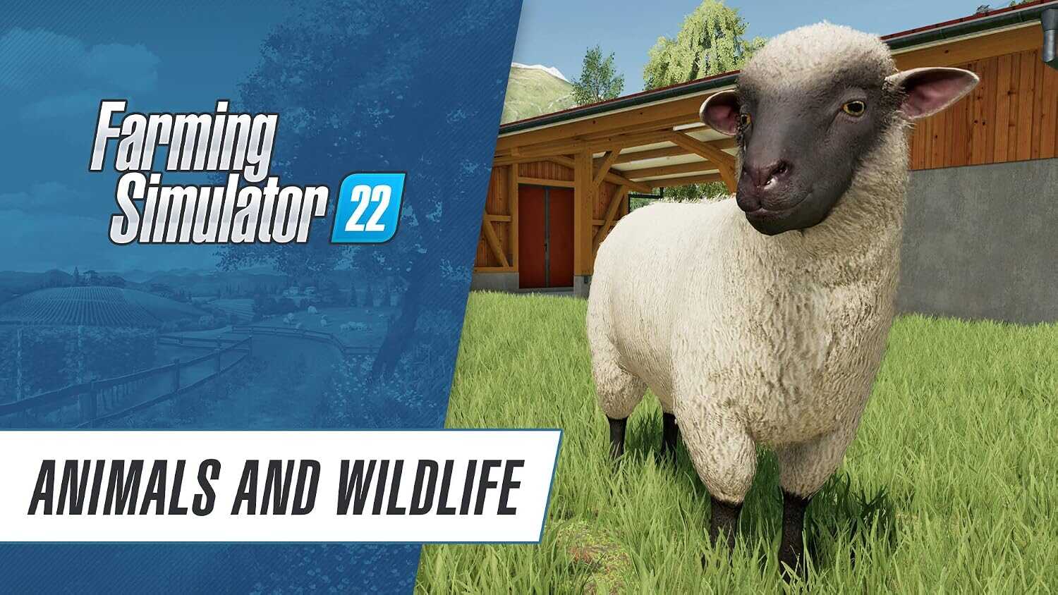 Close-up of a sheep in Farming Simulator 22 game environment.