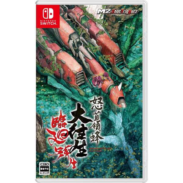 Gameplay screenshot from DoDonPachi Blissful Death Re:Incarnation for Nintendo Switch.