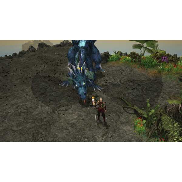 Player faces a large blue dragon in a lush, vibrant environment.