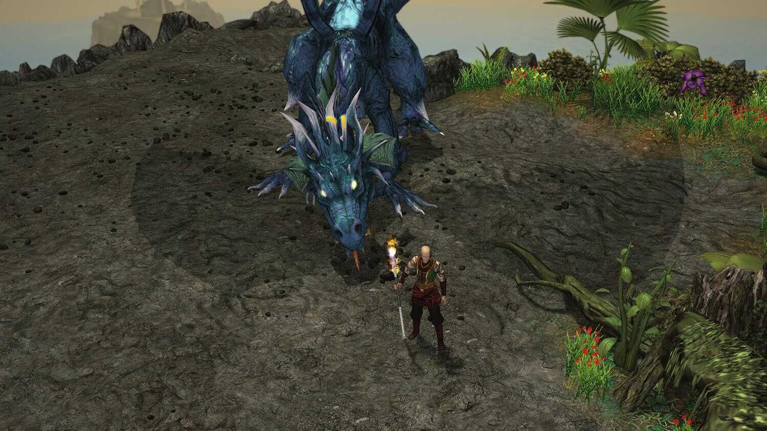 Player faces a large blue dragon in a lush, vibrant environment.
