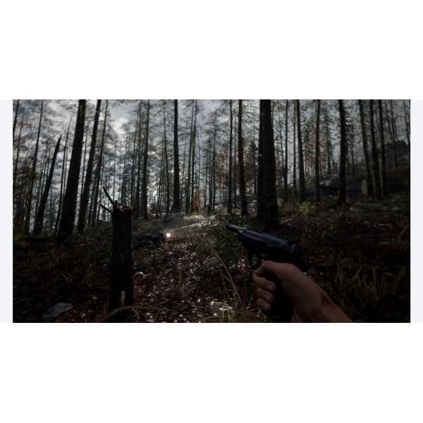 A dark forest scene with a person holding a handgun amidst trees and fallen leaves.
