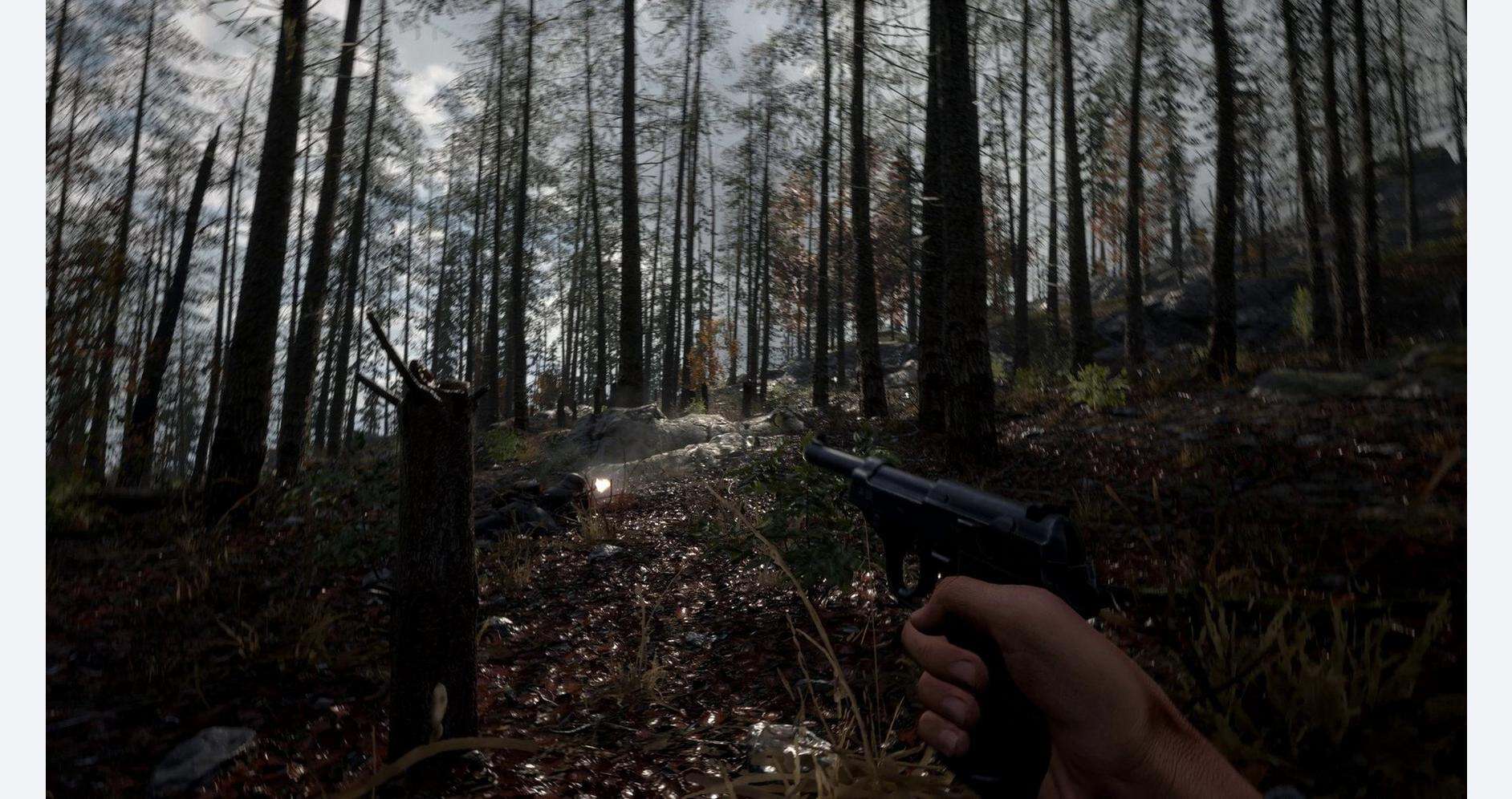 A dark forest scene with a person holding a handgun amidst trees and fallen leaves.