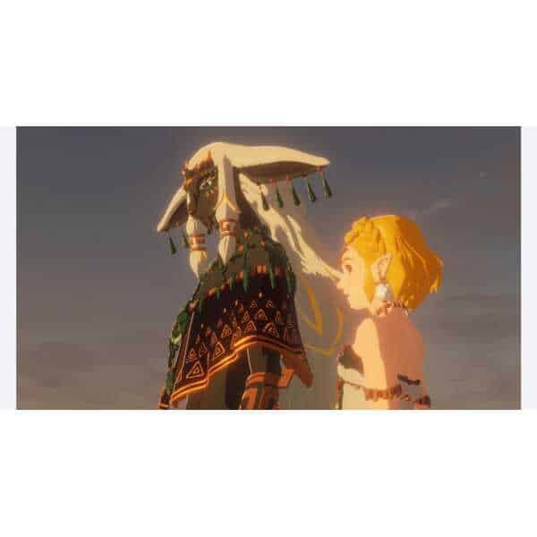 Hyrule Warriors Age of Imprisonment game scene featuring a large, armored boss and a young hero with.