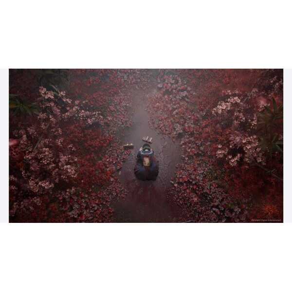 Surreal forest scene from Silent Hill f with eerie pink and red foliage surrounding a lone figure.