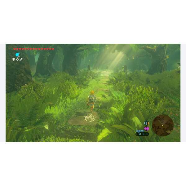 Gameplay scene from The Legend of Zelda: Breath of the Wild in lush forest environment.