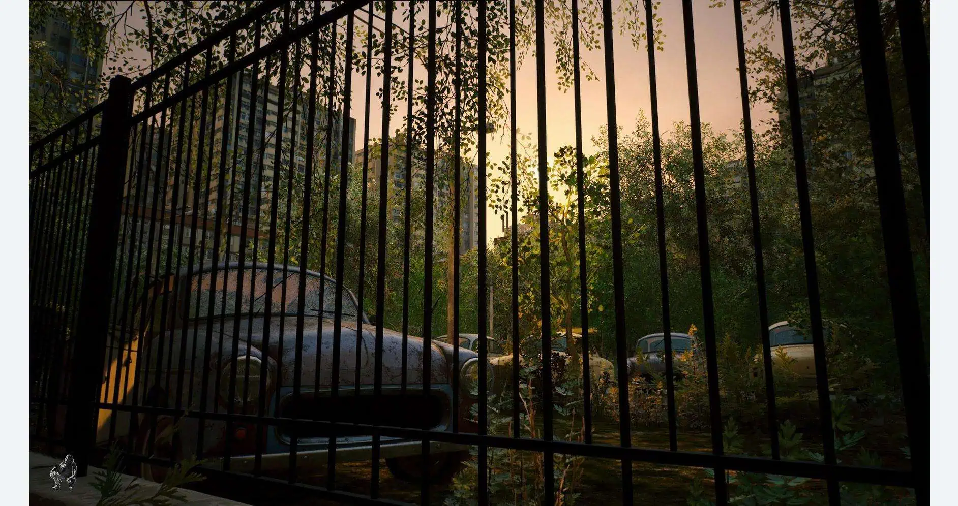 Dark, eerie forest gate with overgrown trees and abandoned cars at sunset.
